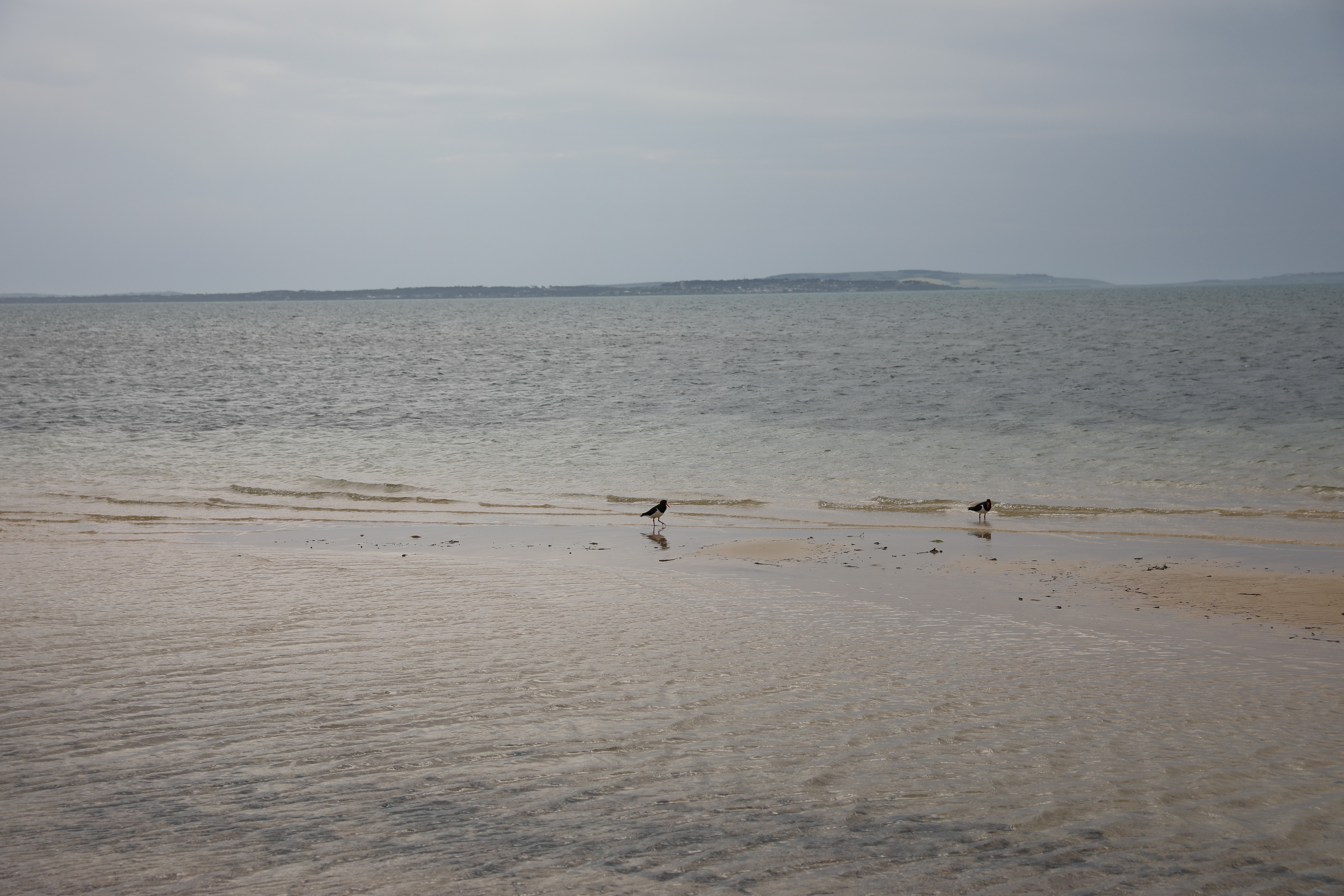 2019 10 05 14 37 43 Canon EOS 5D Mark IV 0010